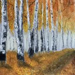 Birches in Fall
