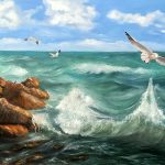 Where Seagulls Soar