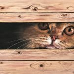 peaking_in_800