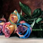 Rainbow Roses